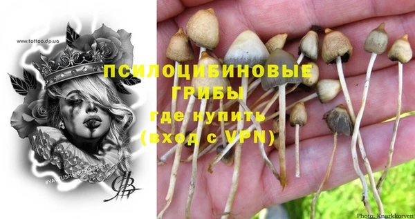 mdpv Нягань