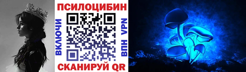 Купить  Николаевск-на-Амуре  Псилоцибиновые грибы мицелий 